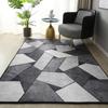 Nordic Luxury Style Living Room Carpets Area Rugs Bedroom Bedside Rug Home Decoration Parlor Carpet Modern Non-slip Floor Mat