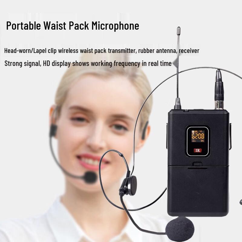 Xun Er Wei ZJL-912L Professional Dual Wireless Microphone System (CN version)