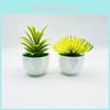 Plastic Succulent Fake Plant Pot For Home Decor And Gift