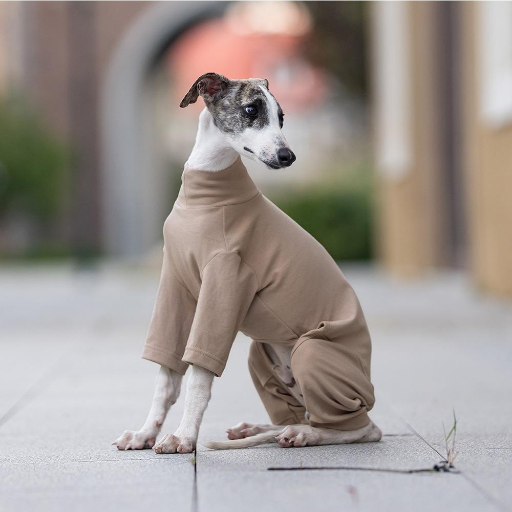 Four-legged Bottoming Shirt, Universal In Autumn and Winter, Dog Turtleneck Loungewear, Dust-proof Clothing, Low-saturation Pet Dog Clothing