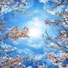 Mural Wallpaper 3d Blue Sky White Clouds Cherry Blossom Ceiling Zenith Mural Living Room Dining Room Home Decor Fresco
