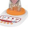 Modello Corpo Umano per Bambini Anatomia Umana Interattiva Modello Parlante Anatomico Realistico Giocattolo Educativo Regali per Bambini di Età 8-13