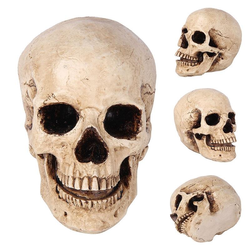 11 Realistlik Elusuuruses Inimese Anatoomia Valge Vaik Koopia Kolju Halloweeni Dekorp