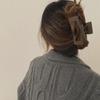 Large Frosted French Morandi Hair Clip - Shark Hairpin Accessory