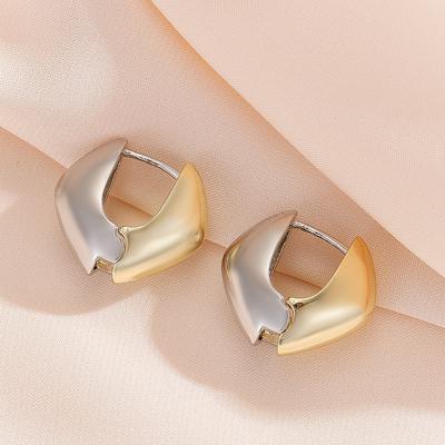 Neue trendige, einzigartige, Nischendesign-Ohrringe für Damen im kühlen europäischen und amerikanischen Stil, geometrische Metallohrringe