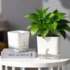 Self Watering Square Flower Pot with Removable Water Reservoir for Indoor Home and Outdoor Balcony Gardening