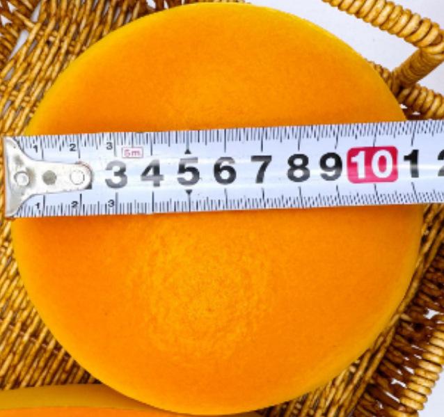 Squishy Slow Rebound Cute Girl Toy - Scented Soft Simulation Bread Cake