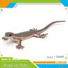Chameleon and Lizard Desert Forest Simulation Model Toy