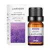 Lavender Water-Soluble Essential Oil, 10ml - Available in 29 Scents