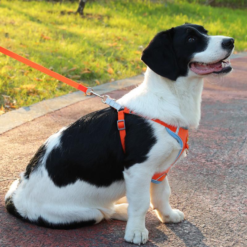 Pet Harness Vest Walking Lead For Puppy Dogs Collar Adjustable Reflective Breathable Harness For Dogs Puppy And Cats