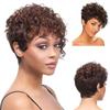 Synthetic Old Woman Wig Curly Short Haircuts Mommy Wig with Side Bangs Heat Resistant Afro Kinky Curls Casual Style Natural Wig
