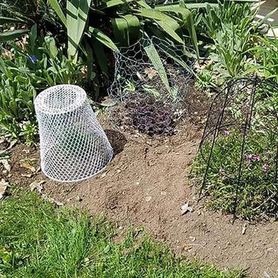 Garden Cloche with Fine Mesh Easy-to-Install Plant Cages Animal-proof Mulch Guard