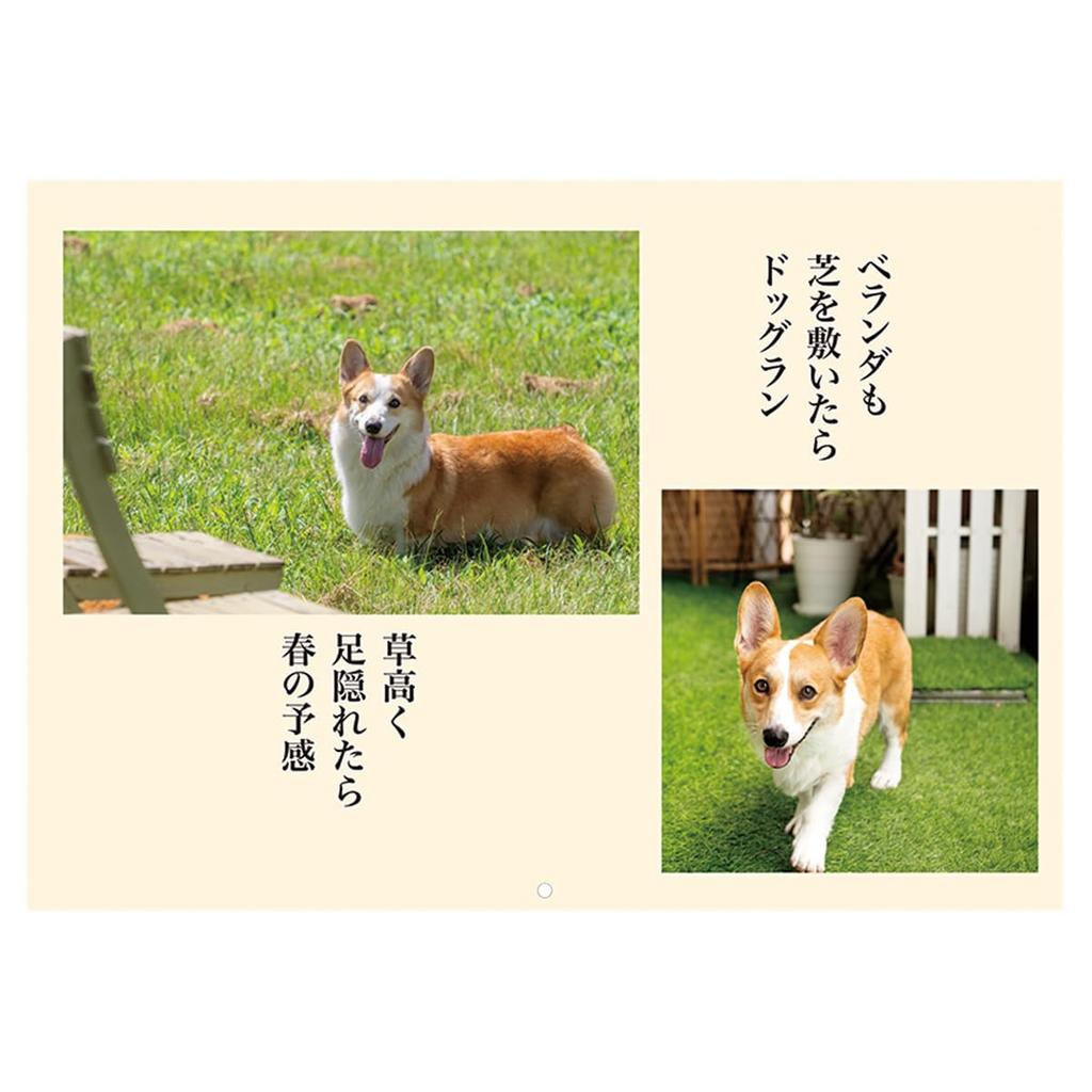 2025 Corgi Senryu Calendar No.021