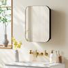 Bathroom Mirror Cabinet Bathroom Cabinet With Mirror Adjustable Shelf 40 2 X 10 2 X 50 9 Cm Black
