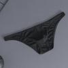 Men's Low Waist Silky Solid Color Sexy Briefs and Thong
