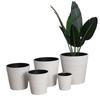 YMTI Square Flower Pot