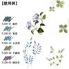 Akashiya Watercolor Brush Pen 'Sai' 30-Color Set (CA200/30V) + Extra-Fine Brush Pen 'Sai ThinLINE' Deep 5-Color Set (TL300-5VA)