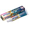 New Poligrip Premium Plus Long-lasting Stability & Chewing Power EX 70g