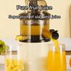 300W High Power Household Slow Juicer Electric Fruit Juicer Fruit Extractor Blender Slow Chewing Cold Press Juicer