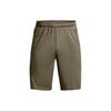 Loose Fit Shorts Men's Tent Green 1306443-361