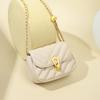 Women's Light Luxury Chain Crossbody Bag: Versatile Spring/Autumn Underarm Bag