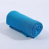 8PCS Lightweight Cooling Towel Mesh Texture Microfiber Towel Durable Ice Towel  Gym Workouts
