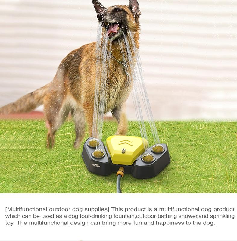 automatic outdoor dog feeder