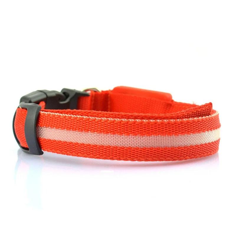 Collare LED per Cani Anti-smarrimento/evita Incidente d'Auto Collare per Cani Ricarica USB Forniture Guinzaglio Collare per Cani Articoli per Animali Domestici