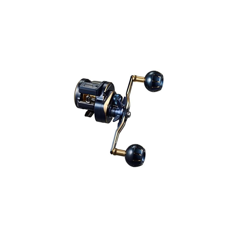 Daiwa Saltiga IC 300L-DH Offshore Baitcasting Reel with Counter, Durable, High Performance