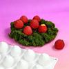 Non-Stick Surface Silicone Mold Set Food-Grade Silicone Dessert Mold  DIY Dessert Making