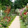 Relaxdays arche à rosiers tuteur roses arche de jardin arceau rosiers support plantes grimpantes vert 2,3 m