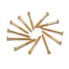 12 Replacement and Small Parts Metal Bass Pickup Screws for Bass Screw Repair