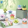 Educational Small Particles Mosaic Building Block Flower Simulation Tang Yin Succulent Potted Plant Compatible With A High Building Block Model Toy