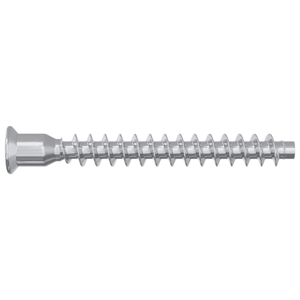 Confirmat Screws 12 pcs Silver Ø7 x 58 mm Metal