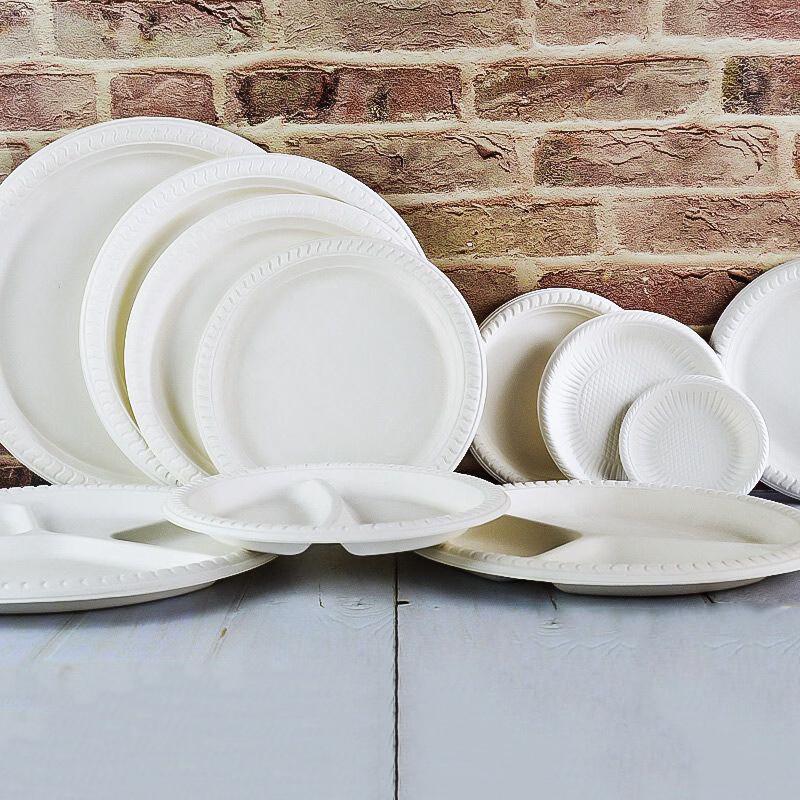 

9-Inch Biodegradable Disposable Round Plates, 50-Pack