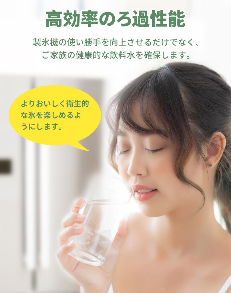 Ledovač do chladničky Kompatibilní s čističem vody Mitsubishi Electric Čistič vody s chlórem Náhradní filtr pro ledovač do chladničky