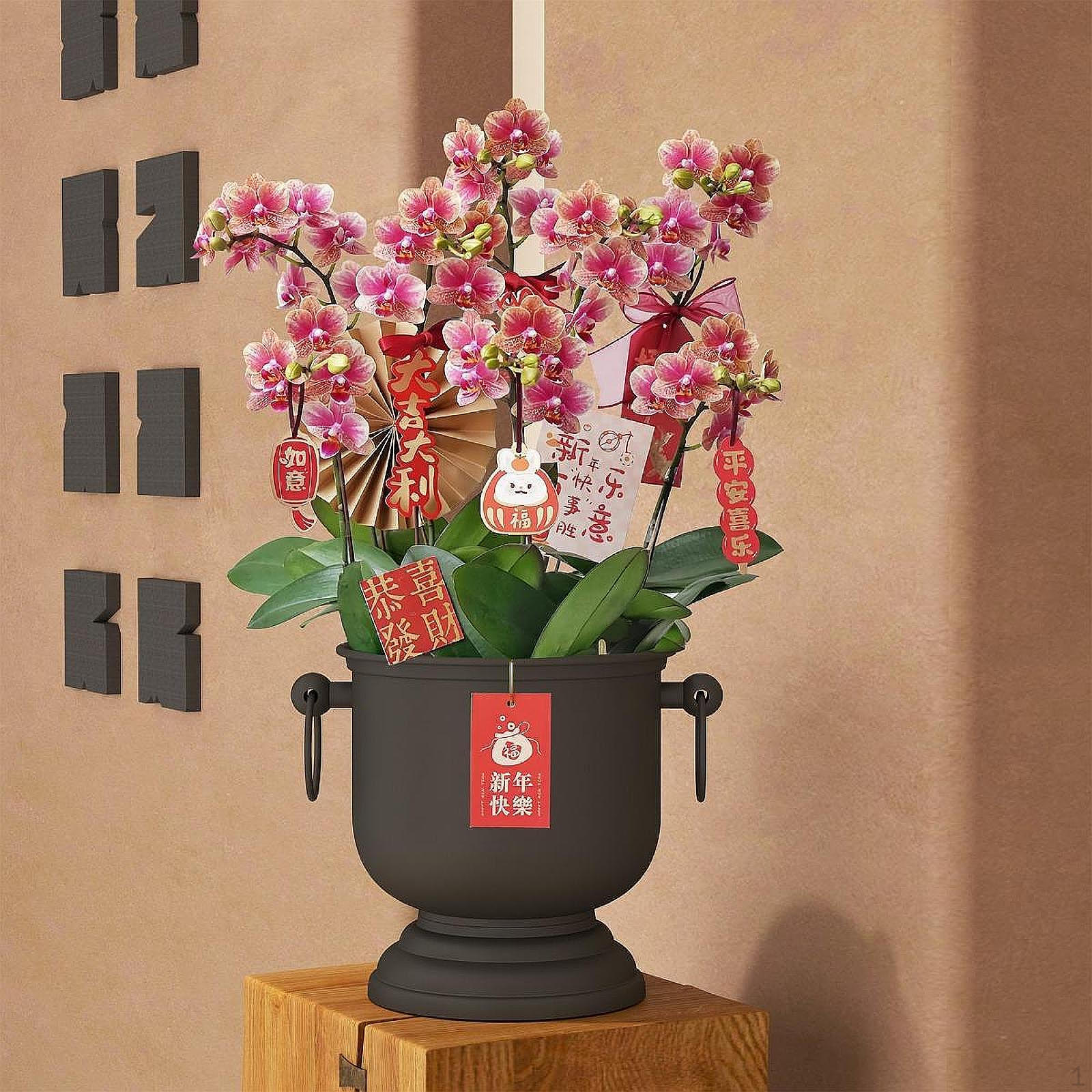 

Декоративный цветочный горшок для растений, цветочный аксессуар, подарок на день рождения, контейнер, маленький Black with Handle