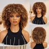ALAN EATON Women's Kinky Curly Wigs for Black Women Black/Dark Brown Synthetic Wigs Heat Resistant Daily Party