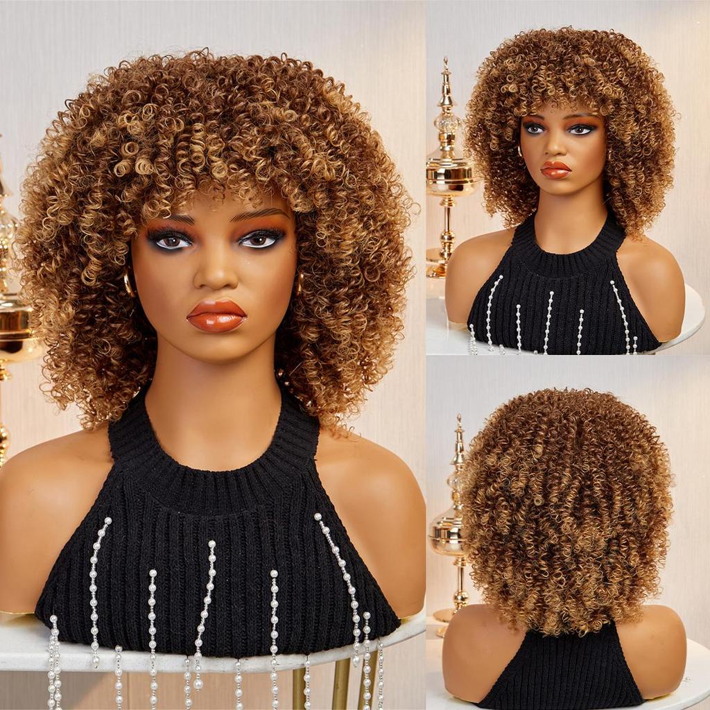 ALAN EATON Women's Kinky Curly Wigs for Black Women Black/Dark Brown Synthetic Wigs Heat Resistant Daily Party