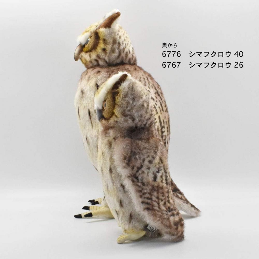 Bh6767 Hansa Shima Owl 26