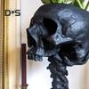 Skull Planter with Spine Stand Realistic Resin Skull Flower Pot Gothic Home Decoration Halloween Candy Bowl for Home Office Decor
