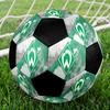 SV Werder Bremen Soccer Ball Colorful All Ages Machine Stitched PVC Competition Ready Durable High-Bounce.SIZE5