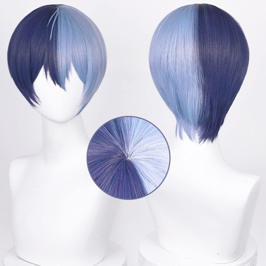 LAOBAO KAITO Kaito Disguise Wig Costume Accessory Cosplay Blue Wig Heat Resistant Party Halloween Costume School Festival Event cosplay wig (Aoyagi To