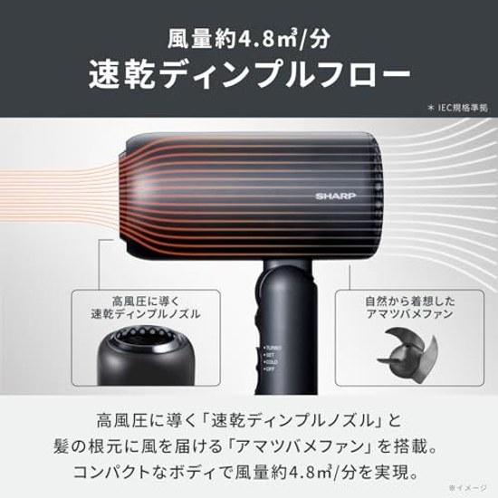 Sharp Hair Dryer IB-P300-B Dimple Flow Quick Dry Smooth Negative Ion UV Care Compact Storage Black Color