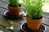 Expanded Clay Drainage Granulate for Gardening 4