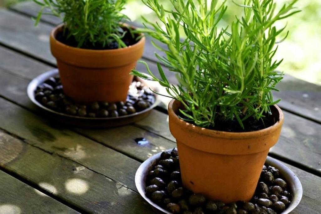 Expanded Clay Drainage Granulate for Gardening 4