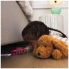 GUND Matzie Dog Plush Toy M 4030272