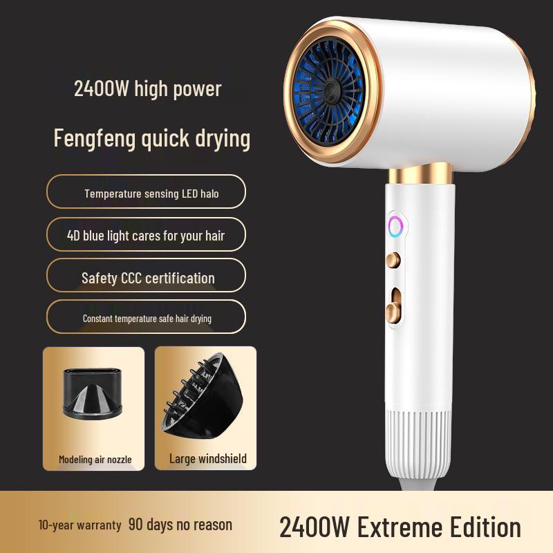 High-Speed Ionic Hair Dryer for Salon & Home Use