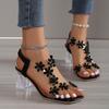 Transparent Thick Heeled Sandals From Europe and America 2024 Summer New Fashion Simple Design Sense Daily Women's High Heels