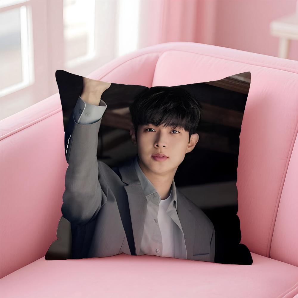 Talented Korean Actor CChoi Wooshik Cushion Cover Pillowcase Short Plush Invisible Zipper Room Sofa Cushion Cover